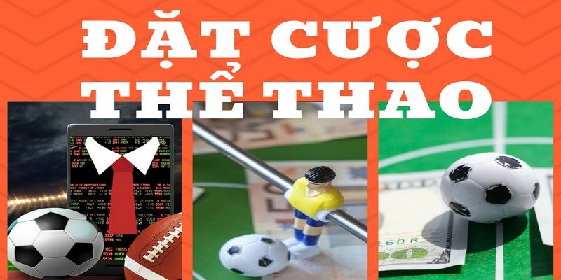 Giới thiệu cá độ thể thao