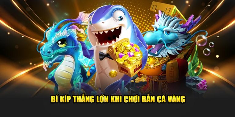 Quy tắc chơi đơn giản với nhiều loại cá lớn